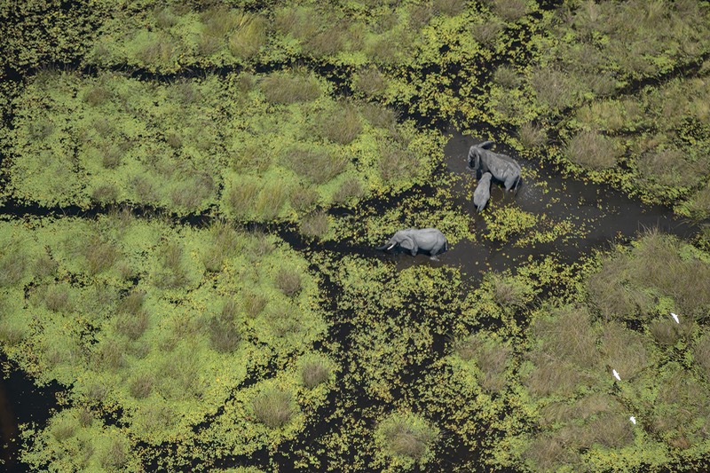 bythom int bots chitabe-vimbura Dec21 Z50 05860