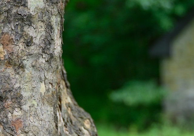 bythom US PA LittleLehigh Z6 0598 crop